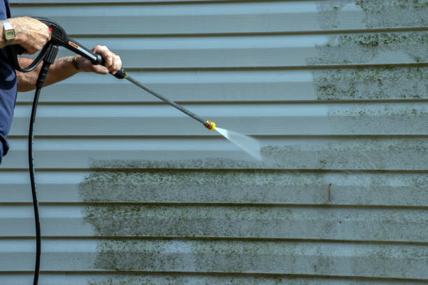 Best Sidewalk and Walkway Cleaning  in San Elizario, TX