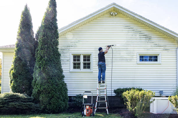 Best House Exterior Washing  in San Elizario, TX